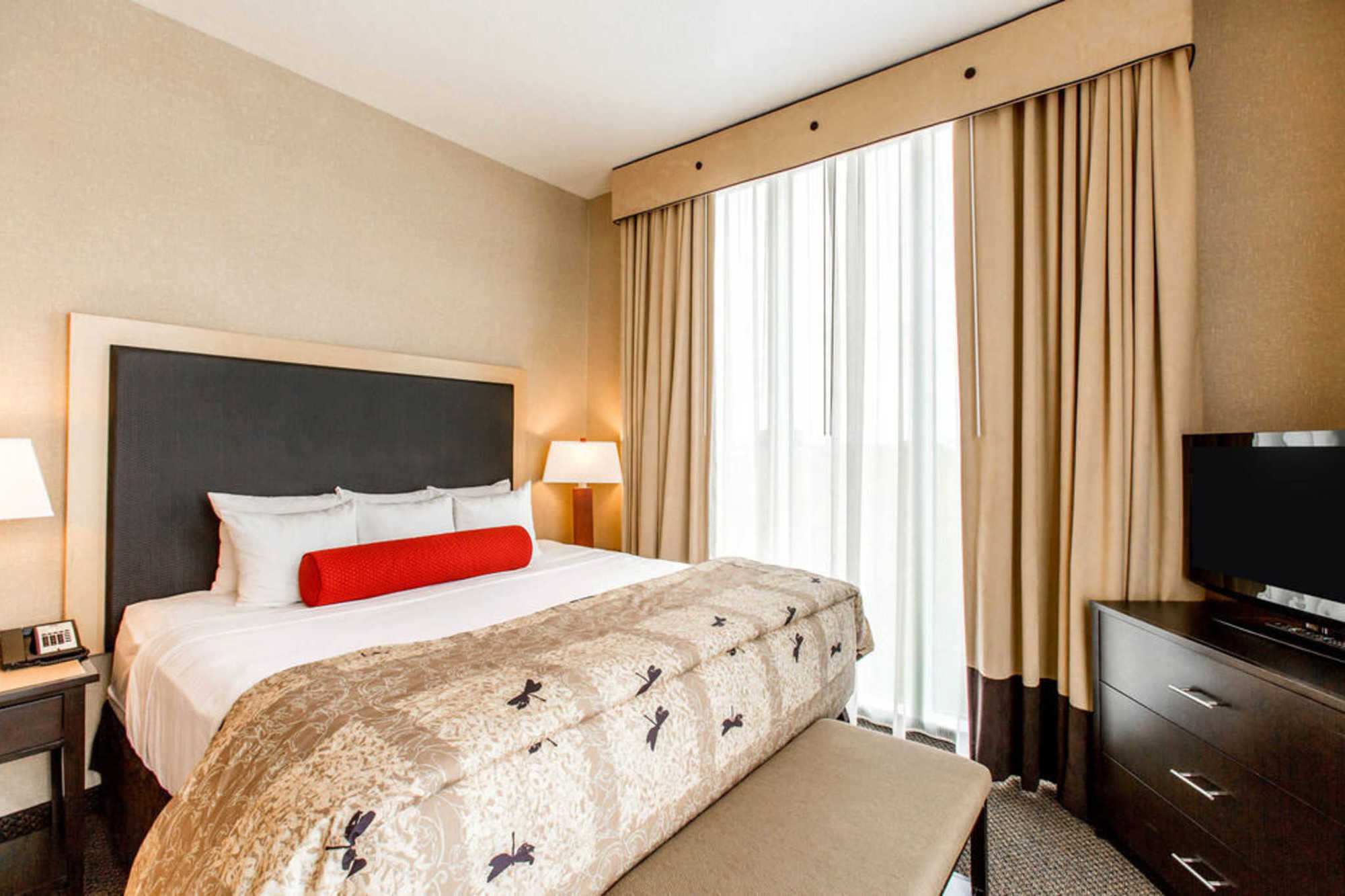 Springhill Suites By Marriott Roanoke Zimmer foto