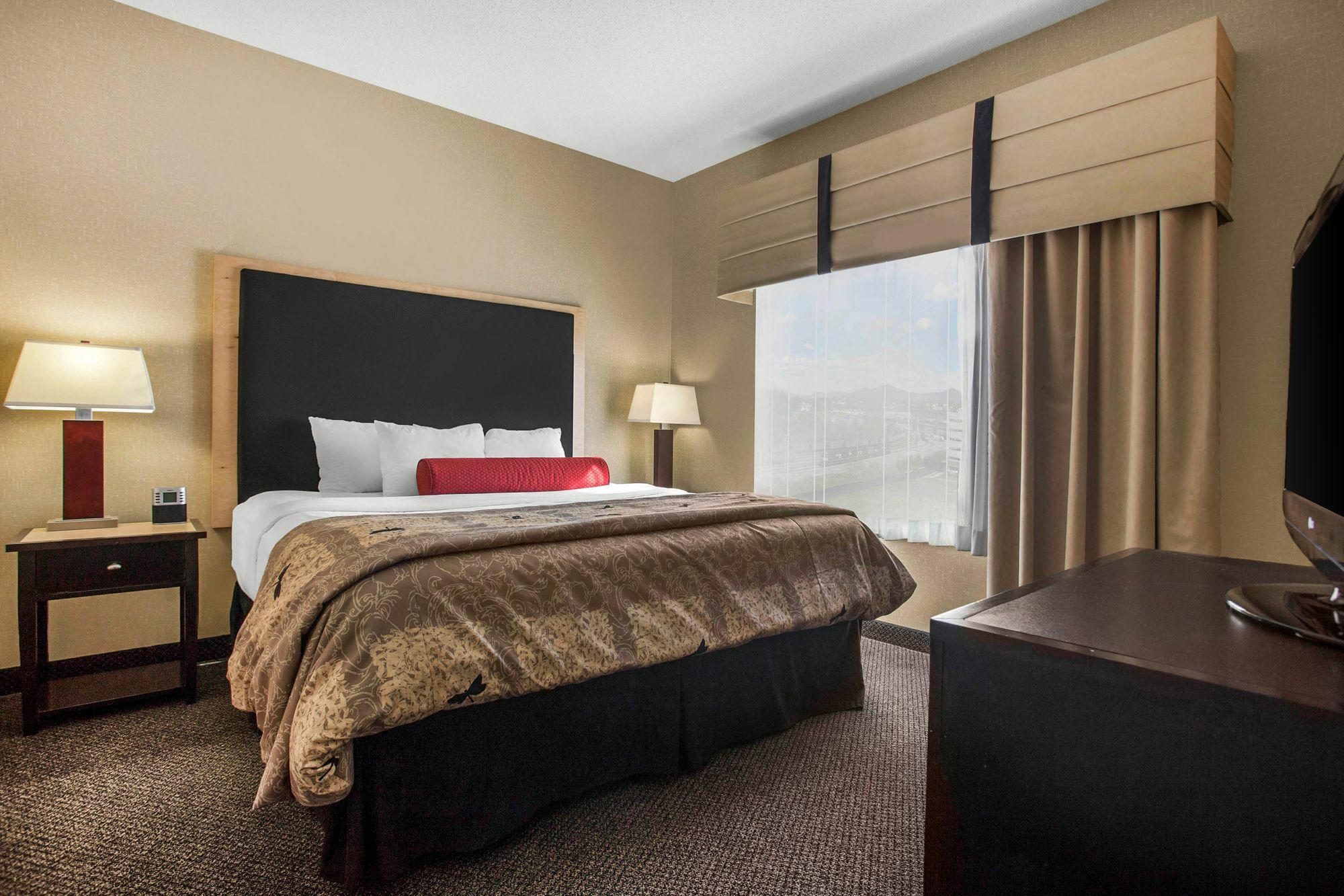 Springhill Suites By Marriott Roanoke Exterior foto